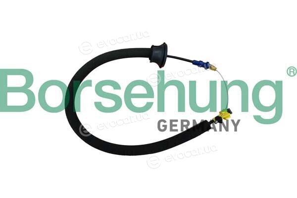 Borsehung B10789
