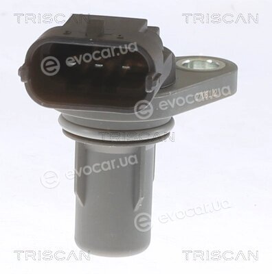 Triscan 8855 43138