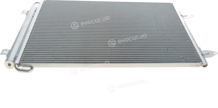 Van Wezel 58005225