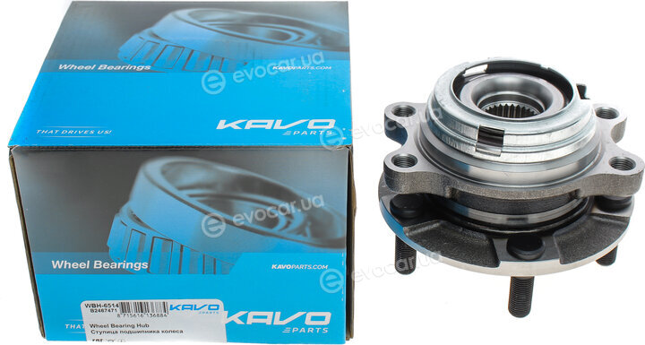 Kavo WBH-6514
