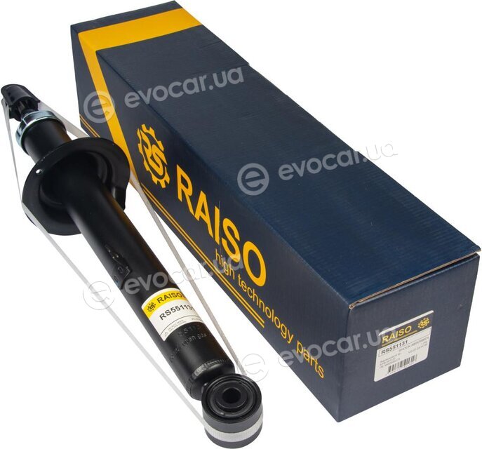 Raiso RS551131