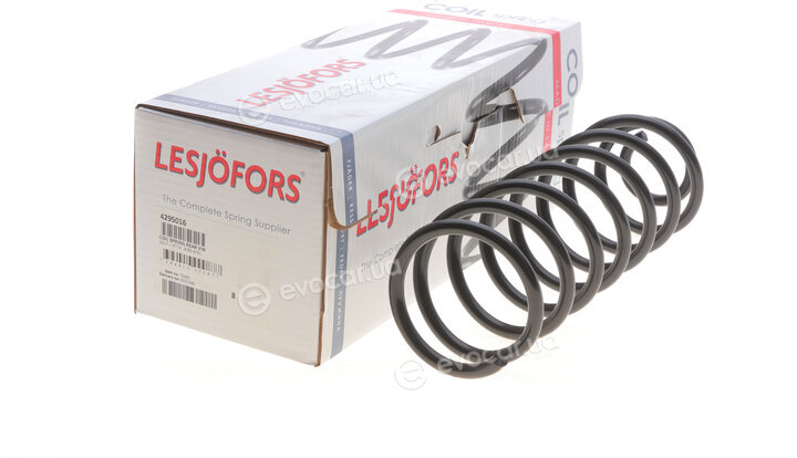 Lesjofors 4295016