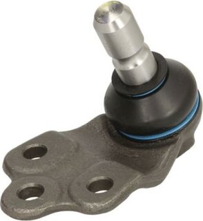 Reinhoch RH03-1009