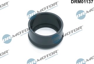 Dr. Motor DRM01137