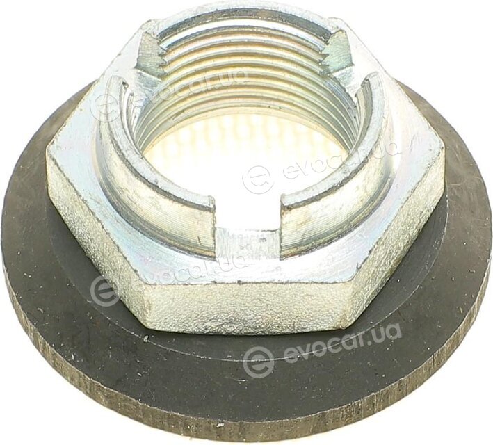 CX 842