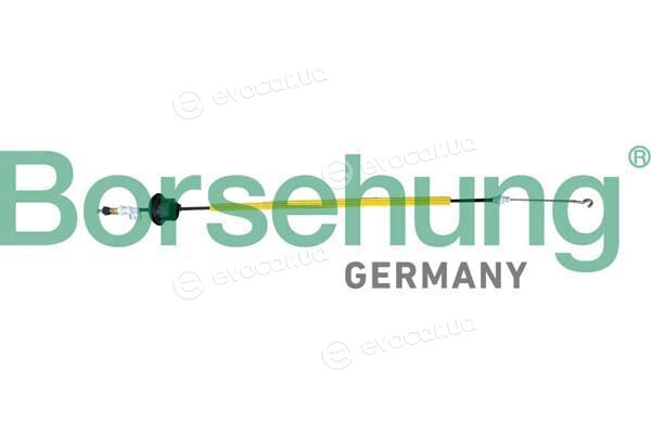 Borsehung B10793
