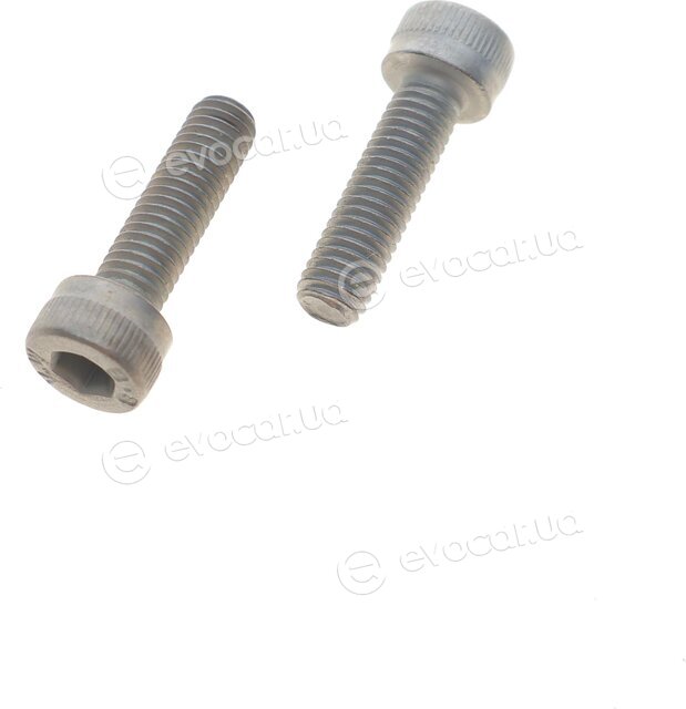 BorgWarner DS120356