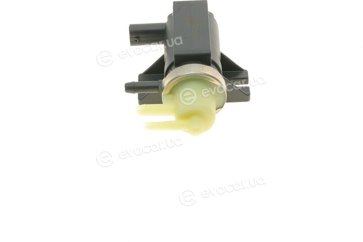 Solgy 402013