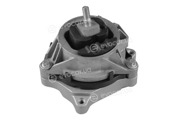 Tedgum TED91713