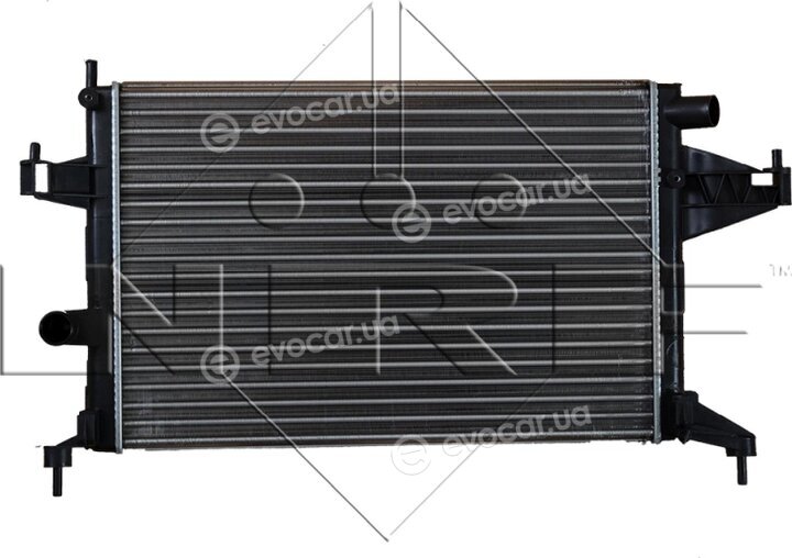 NRF 519596