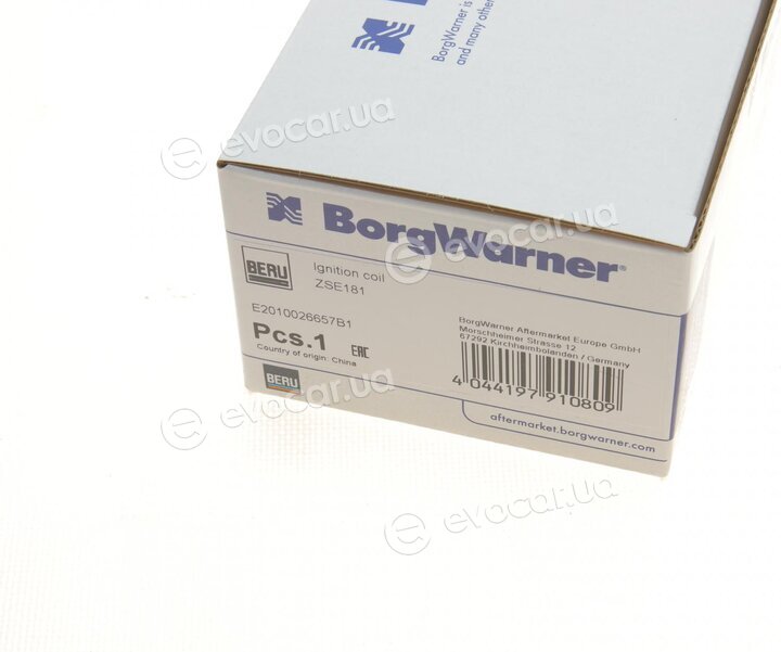 Beru ZSE181