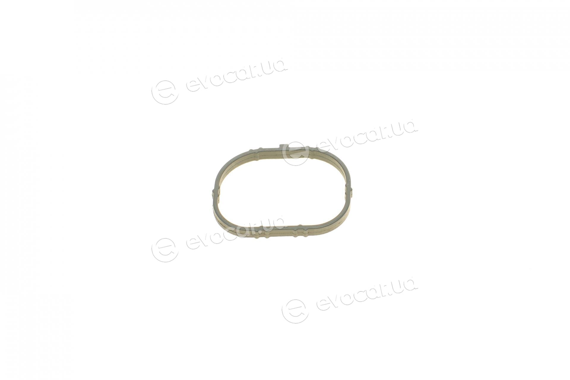 Corteco 450384P