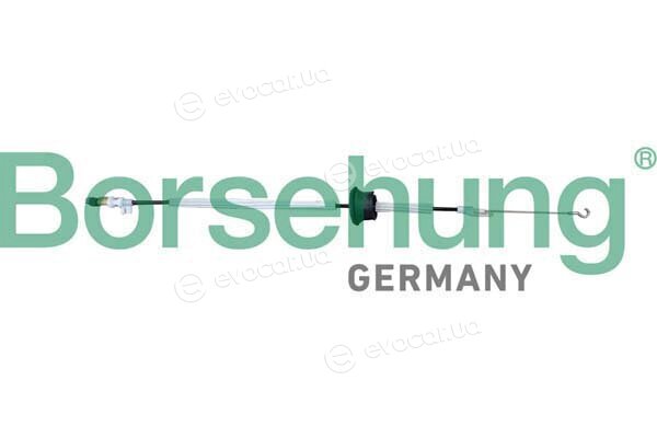 Borsehung B10788