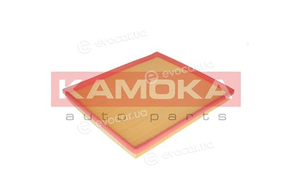 Kamoka F217901
