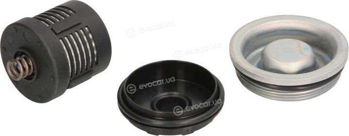 BorgWarner DS120456