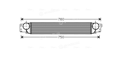AVA OL4442