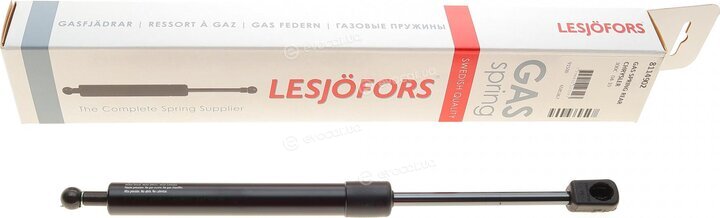 Lesjofors 8114902