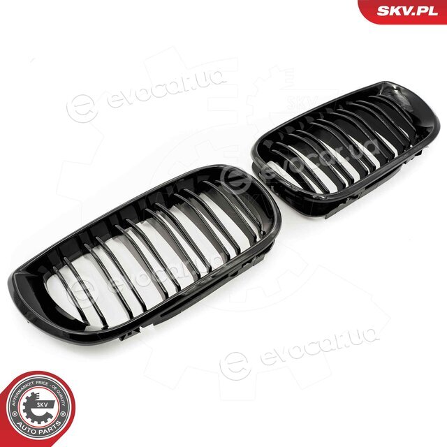 SKV 66SKV081