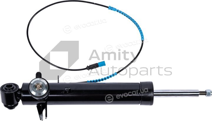 Amity AP 10-SH-0007
