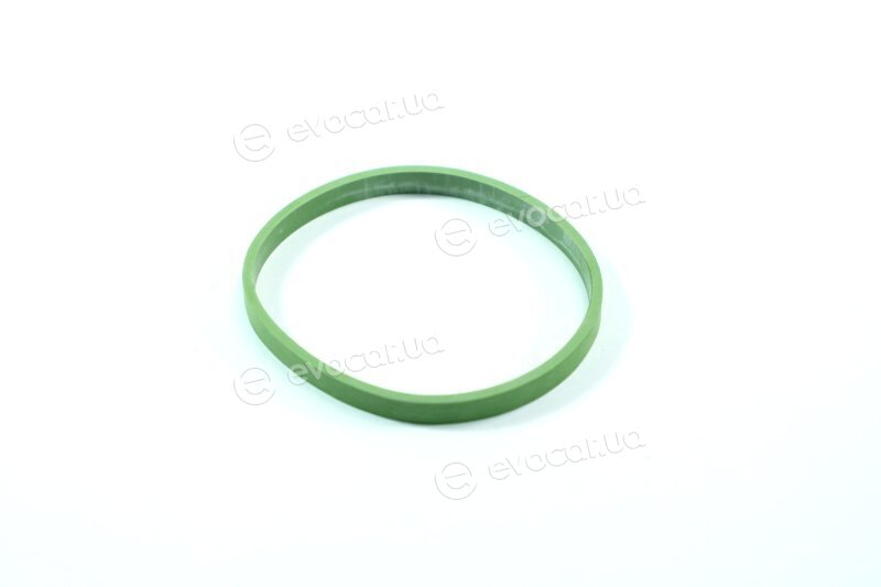 Elring 529.970