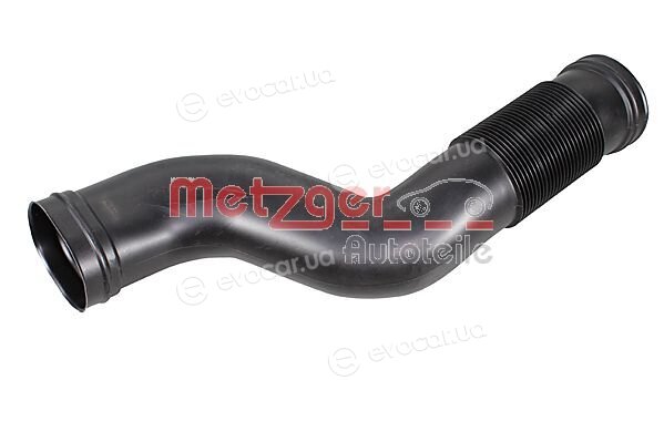 Metzger 2388078