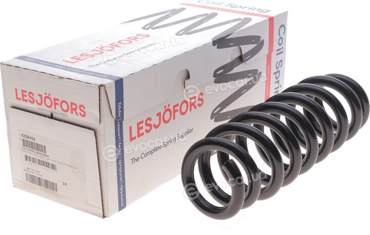 Lesjofors 4208456