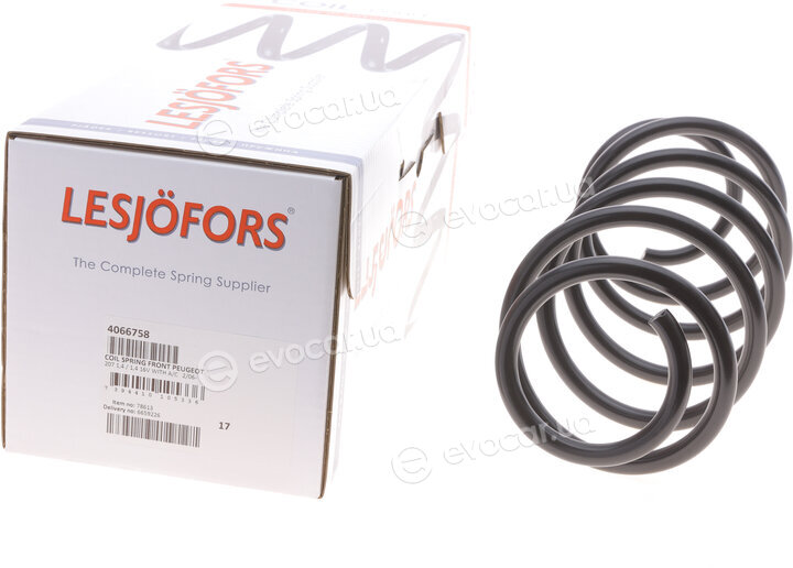 Lesjofors 4066758