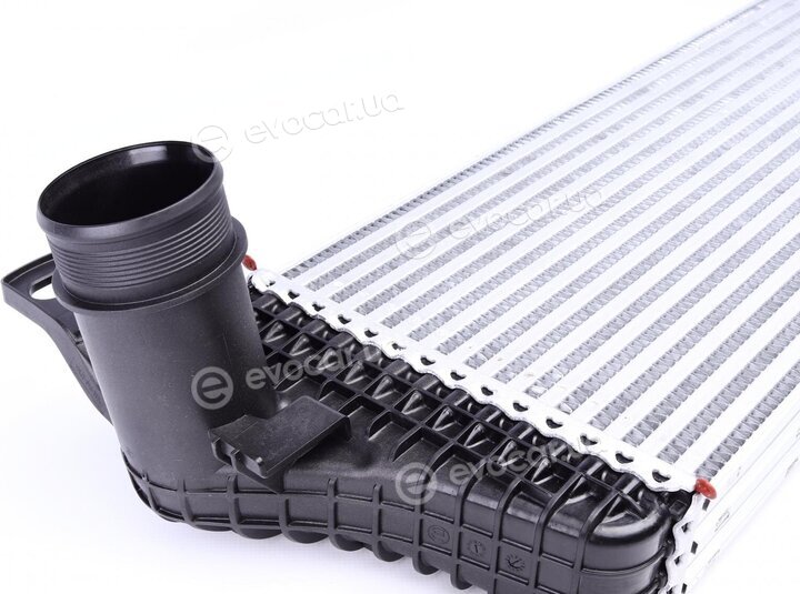 Mahle CI 242 000P
