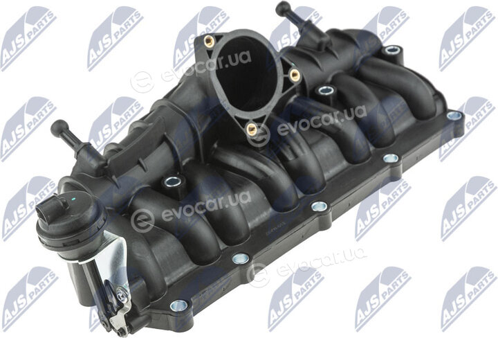 NTY BKS-VW-012