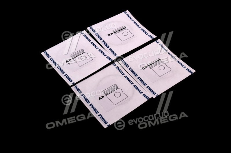Mahle 011 06 N1