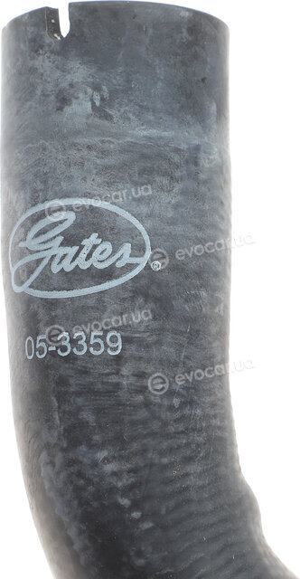Gates 05-3359