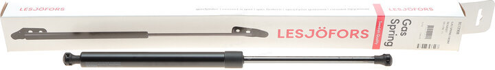 Lesjofors 8072908