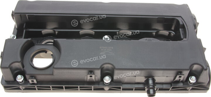 AIC 57863