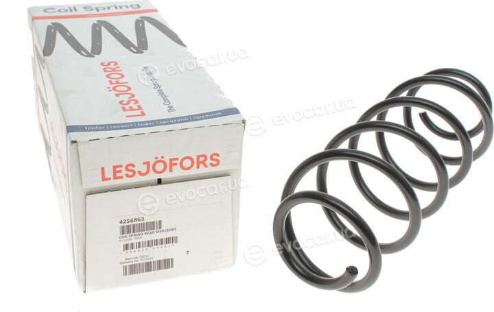 Lesjofors 4256863