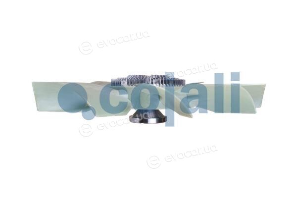 Cojali 7085119