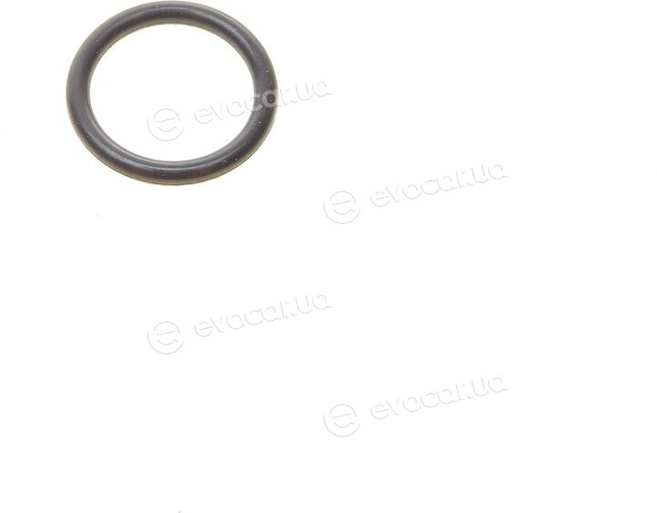 Elring 570.870