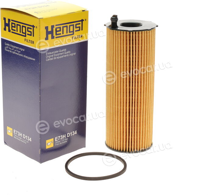Hengst E73H D134