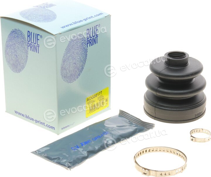 Blue Print ADG08177