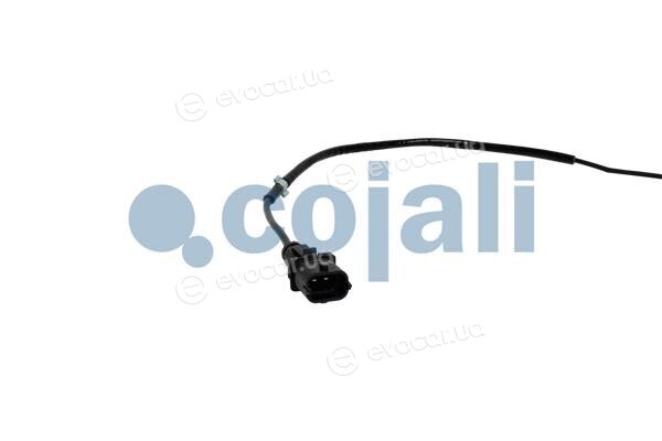 Cojali 2262016