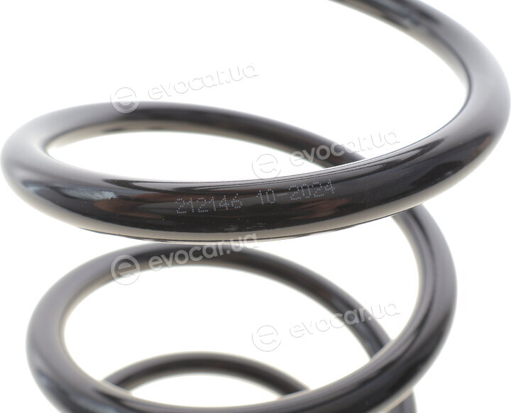 Solgy 212146