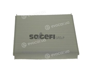 Coopers Fiaam PC8084