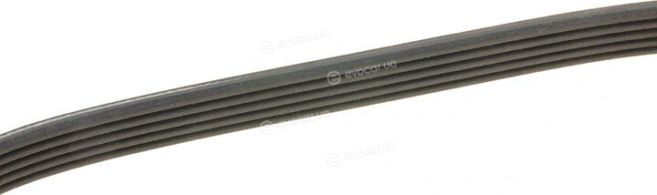 Dayco 5PK650