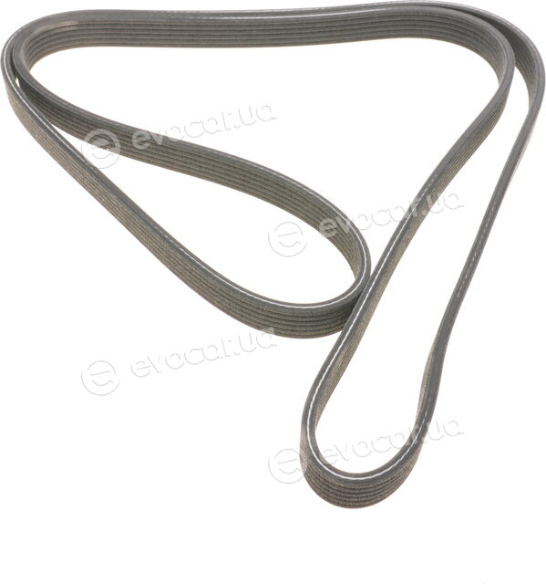 Dayco 6DPK1825
