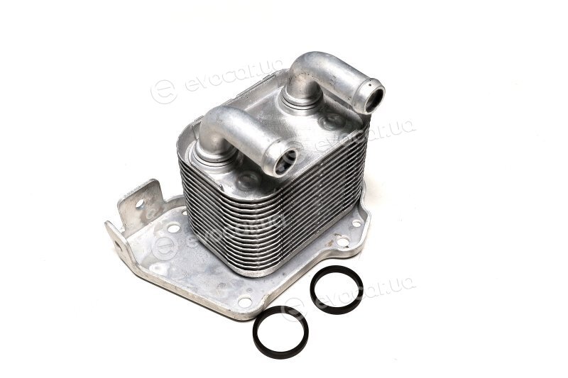 Van Wezel 37013713
