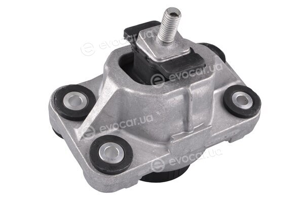 Tedgum TED96150