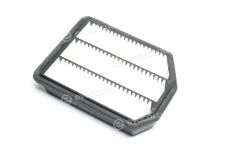 Hengst E1262L