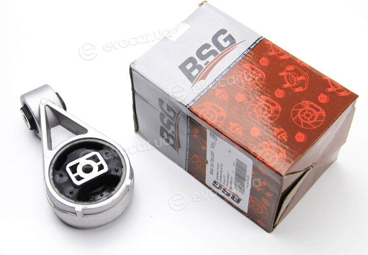 BSG BSG 30-700-205