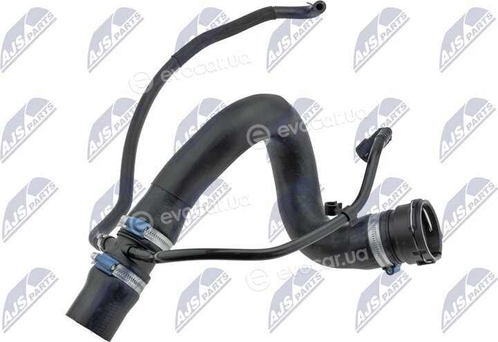 NTY CPP-LR-011