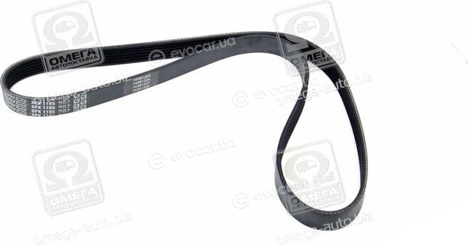 Dayco 6PK1195