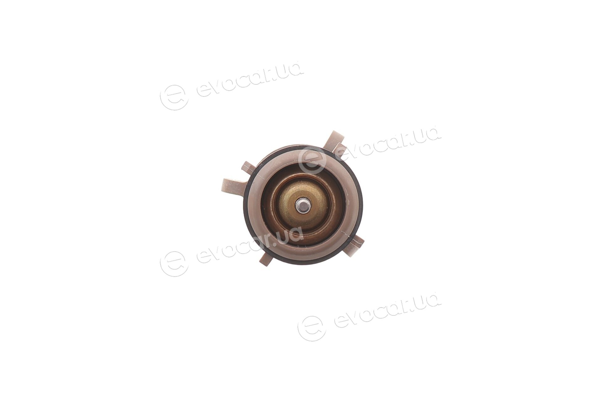 Motorad 803-94K